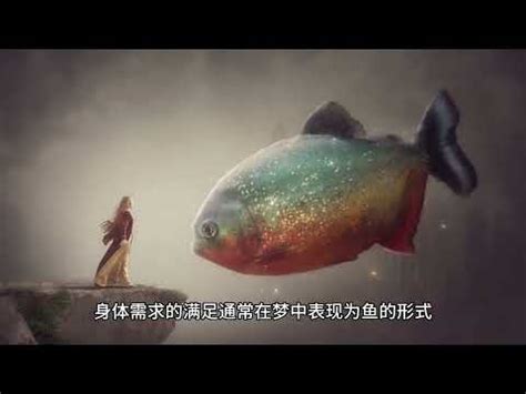 夢到水裡有魚|夢見魚